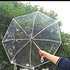 Paraguas Transparente Mujer Plegable - Mod. 6