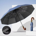 Paraguas Plegable Resistente Al Viento - Mod. 110