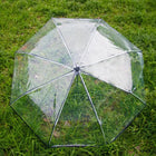Paraguas Transparente Mujer Plegable - Mod. 6