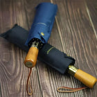 Paraguas Plegable Resistente Al Viento - Mod. 162