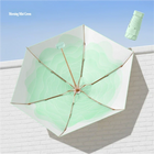 Paraguas Plegable Resistente Al Viento - Mod. 182