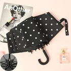 Paragua Parasol - Mod. 1