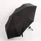 Paraguas Plegable Negro Hombre - Mod. 1