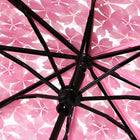 Paraguas Plegable Transparente - Mod. 6