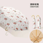 Paragua Parasol - Mod. 1
