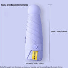 Paraguas Plegable Resistente Al Viento - Mod. 292