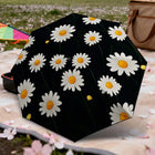 Paraguas Negro Plegable - Mod. 4