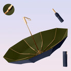 Paraguas Plegable Resistente Al Viento - Mod. 106