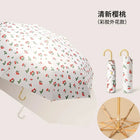 Paragua Parasol - Mod. 1