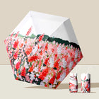 Paraguas Transparente Mujer Plegable - Mod. 30