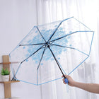 Paraguas Plegable Resistente Al Viento - Mod. 53