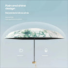 Paraguas Plegable Resistente Al Viento - Mod. 523