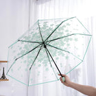 Paraguas Plegable Resistente Al Viento - Mod. 53