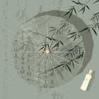Paraguas Transparente Mujer Plegable - Mod. 37