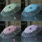 Paraguas Plegable Transparente - Mod. 6