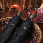 Paraguas Plegable Resistente Al Viento - Mod. 59