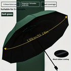 Paraguas Plegable Resistente Al Viento - Mod. 348
