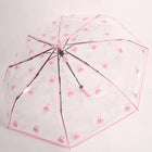 Paraguas Plegable Transparente - Mod. 3
