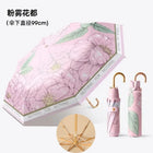 Paragua Parasol - Mod. 1