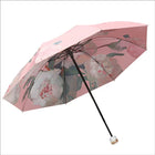 Paraguas Plegable Resistente Al Viento - Mod. 95