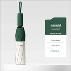 Paraguas Plegable Resistente Al Viento - Mod. 277