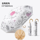 Paragua Parasol - Mod. 1
