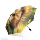 Paraguas Plegable Resistente Al Viento - Mod. 44