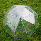 Paraguas Plegable Transparente - Mod. 1