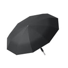 Paraguas Caballero Plegable - Mod. 2