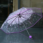 Paraguas Plegable Transparente - Mod. 6