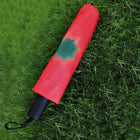 Parasoles De Paraguas Para Coche - Mod. 9
