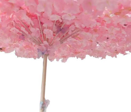 Parasol De Paraguas Para Coche - Mod. 4