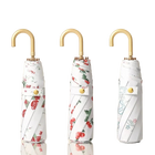 Paragua Parasol - Mod. 1