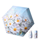 Paraguas Transparente Mujer Plegable - Mod. 30