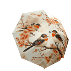 Paraguas Plegable Resistente Al Viento - Mod. 160