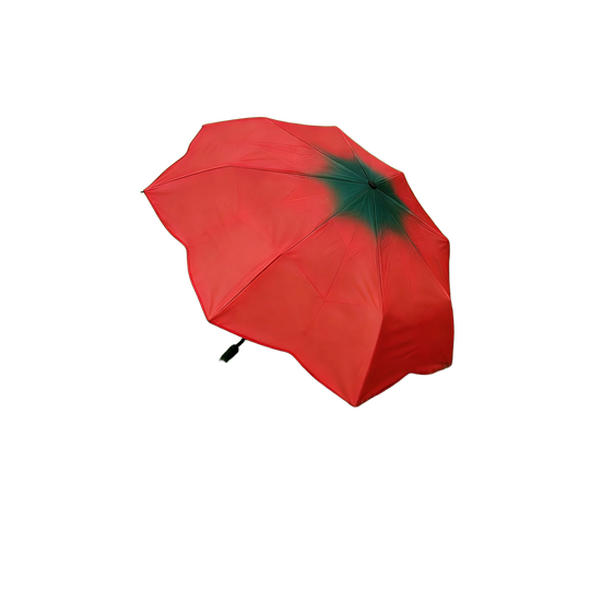 Parasoles De Paraguas Para Coche - Mod. 9
