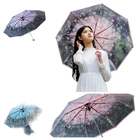 Paraguas Grandes Transparentes - Mod. 1