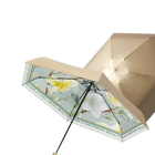 Paraguas Transparente Mujer Plegable - Mod. 2