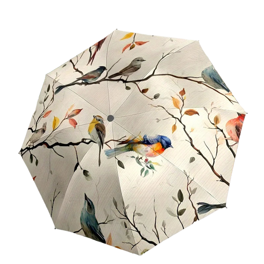 Automático Paraguas Plegable - Mod. 8