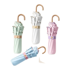 Paraguas Transparente Personalizado - Mod. 16