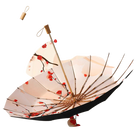 Paraguas Transparente Mujer Plegable - Mod. 40