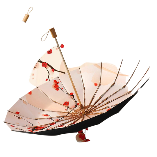 Paraguas Transparente Mujer Plegable - Mod. 40
